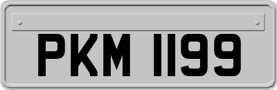 PKM1199