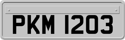 PKM1203