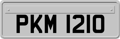 PKM1210