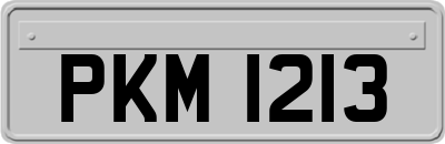 PKM1213