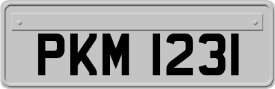 PKM1231