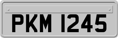 PKM1245