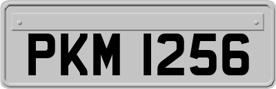 PKM1256