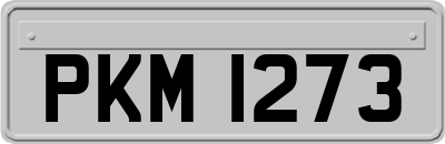 PKM1273