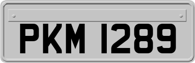 PKM1289