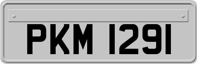 PKM1291