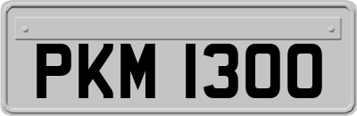 PKM1300