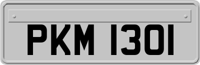 PKM1301