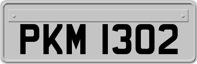 PKM1302