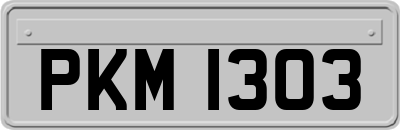 PKM1303