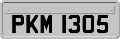 PKM1305