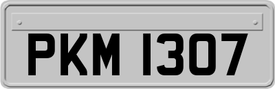 PKM1307