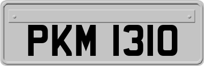 PKM1310
