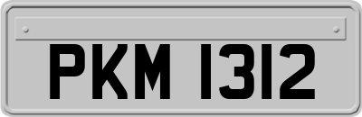 PKM1312