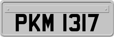PKM1317