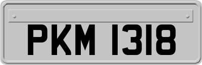 PKM1318
