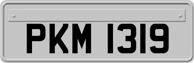 PKM1319