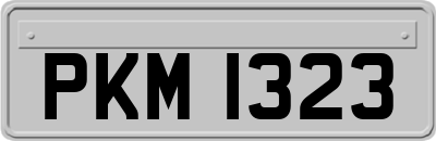 PKM1323