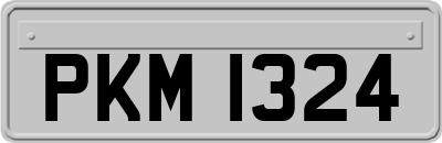 PKM1324