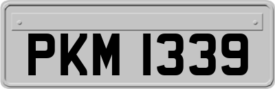 PKM1339