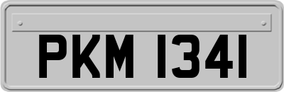 PKM1341