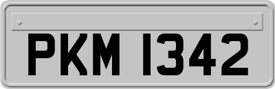 PKM1342