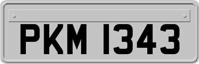 PKM1343