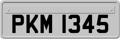 PKM1345