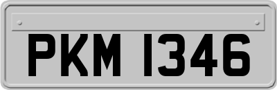 PKM1346