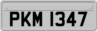 PKM1347