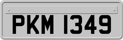 PKM1349