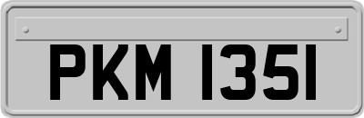 PKM1351