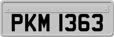PKM1363