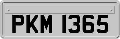 PKM1365