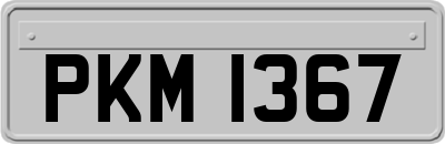 PKM1367
