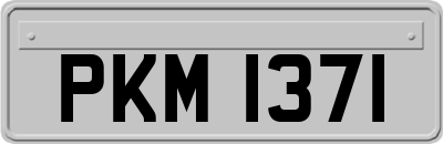 PKM1371