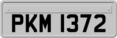 PKM1372