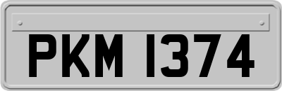 PKM1374