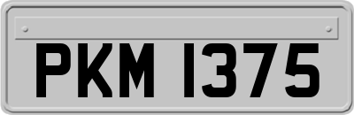 PKM1375