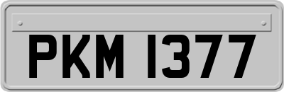 PKM1377