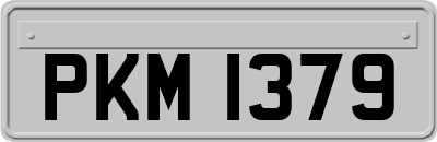 PKM1379