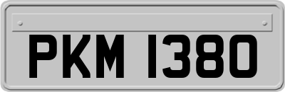 PKM1380