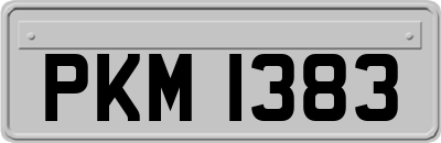 PKM1383