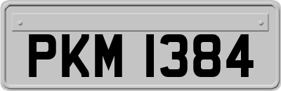 PKM1384