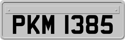 PKM1385