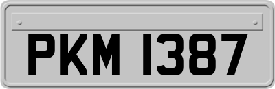 PKM1387