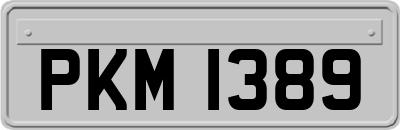 PKM1389