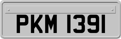 PKM1391