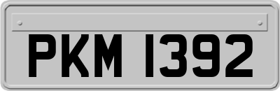 PKM1392