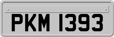 PKM1393